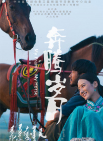 寻情记全集完整版
