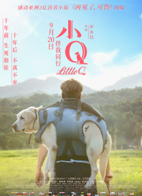 亚洲aⅴ在线